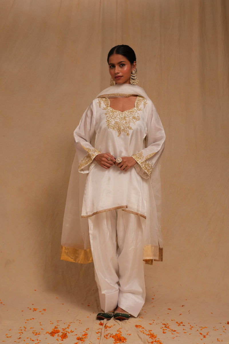 Farshi Salwar suit